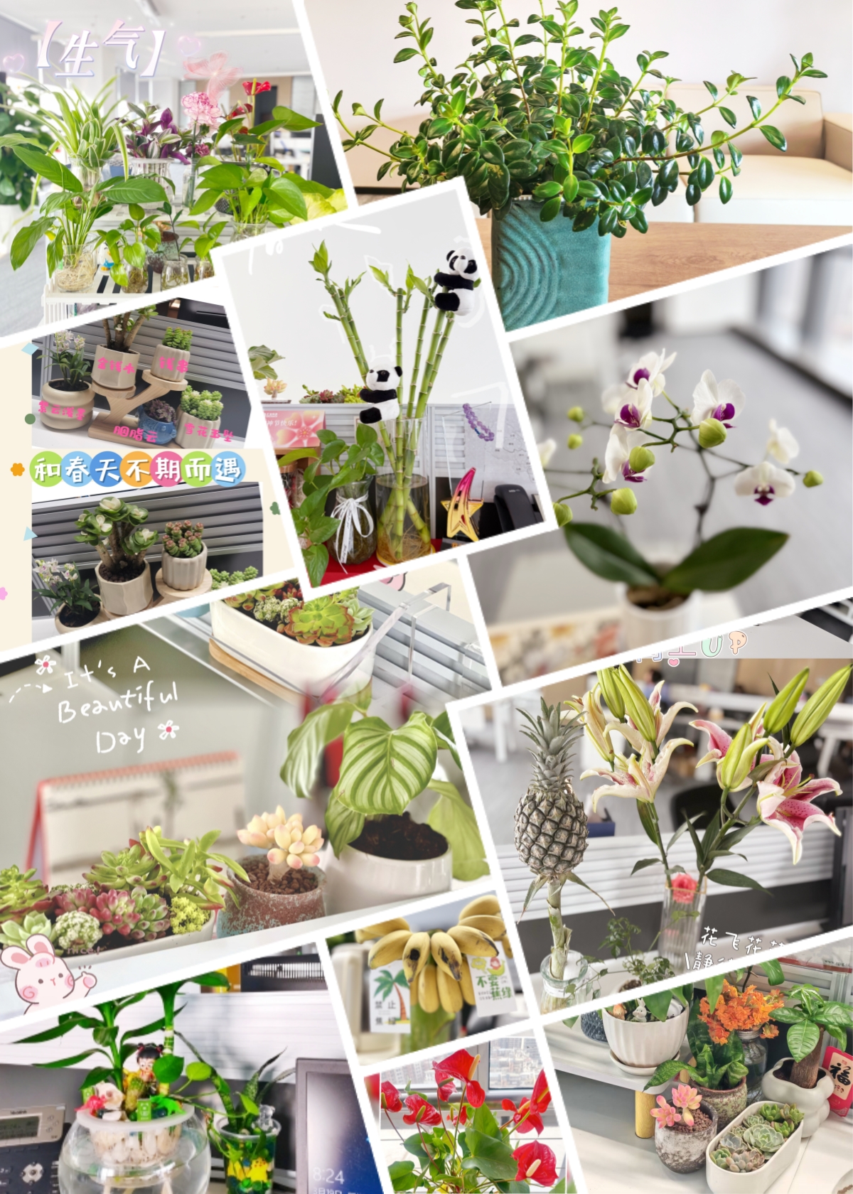 1743491772929366.jpg 1743491772929366.jpg